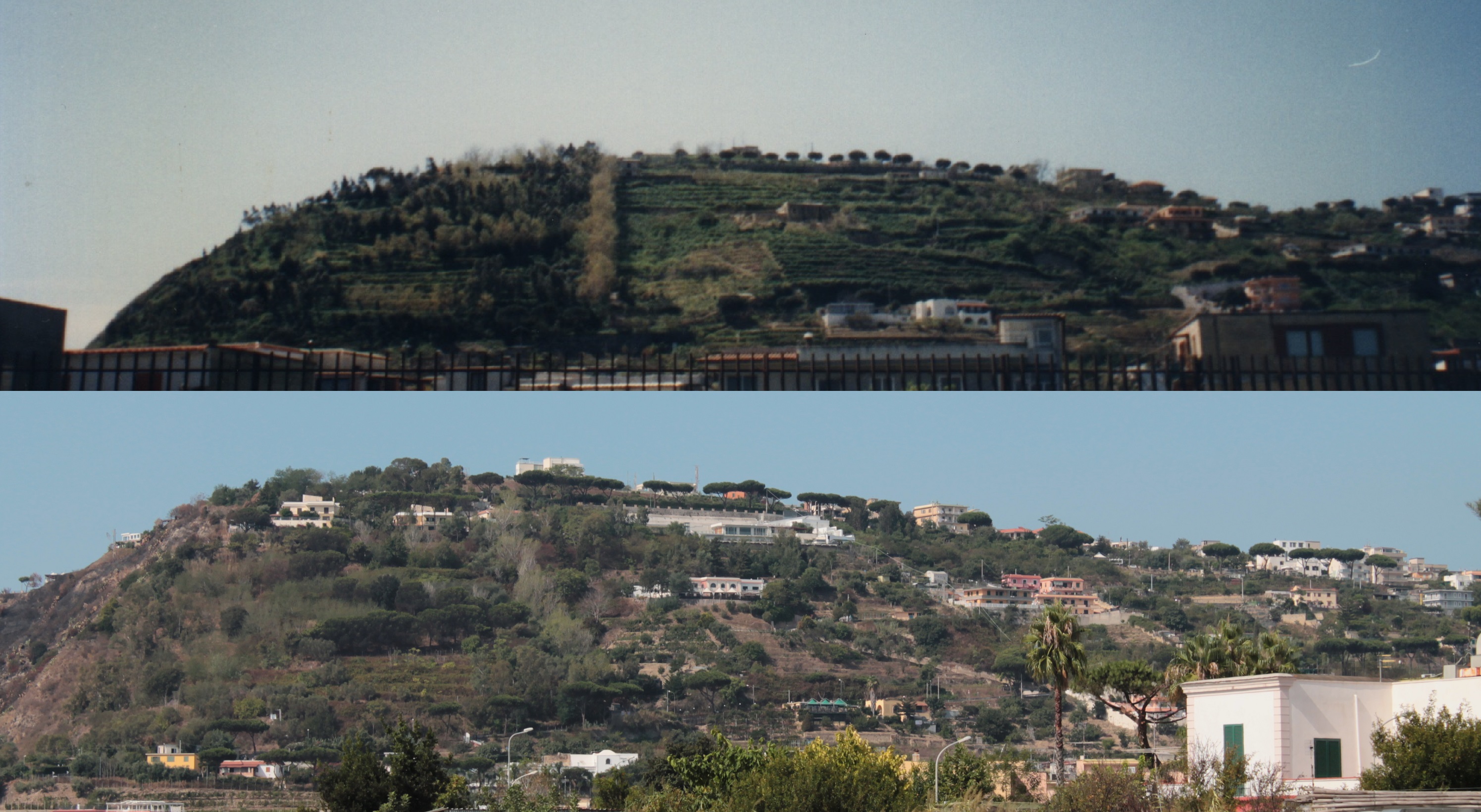 Montegrillo 1977-2017
