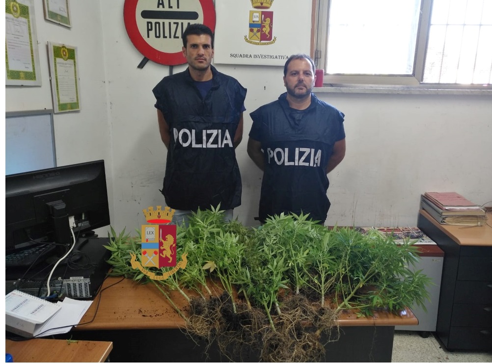 Fuorigrotta, coltiva marjuana sul balcone: denunciato 44enne