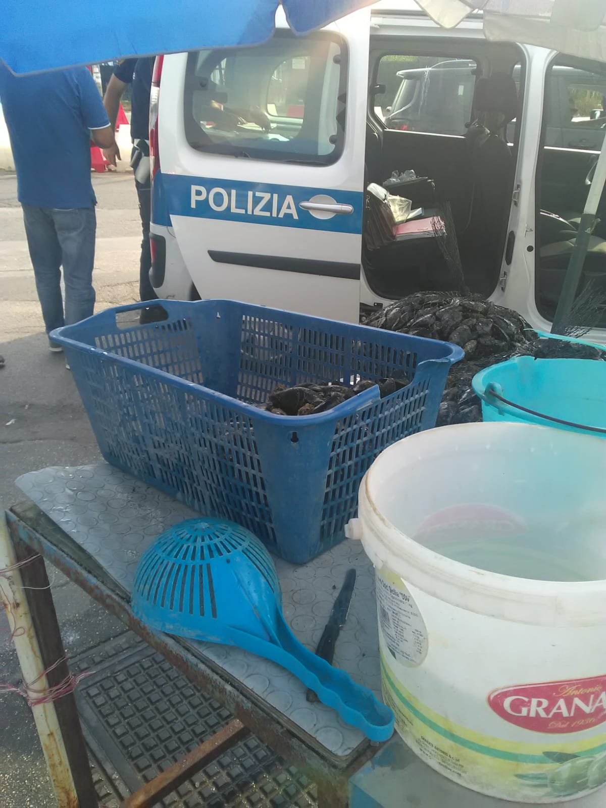 Sequestro di cozze e frutti di mare a Monterusciello e Licola dei vigili urbani