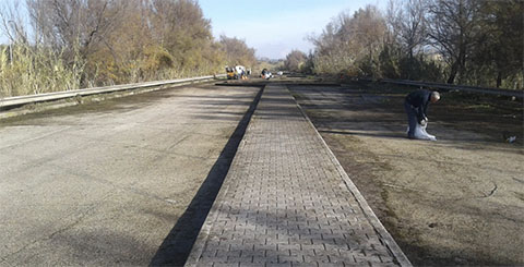 bonificalicola