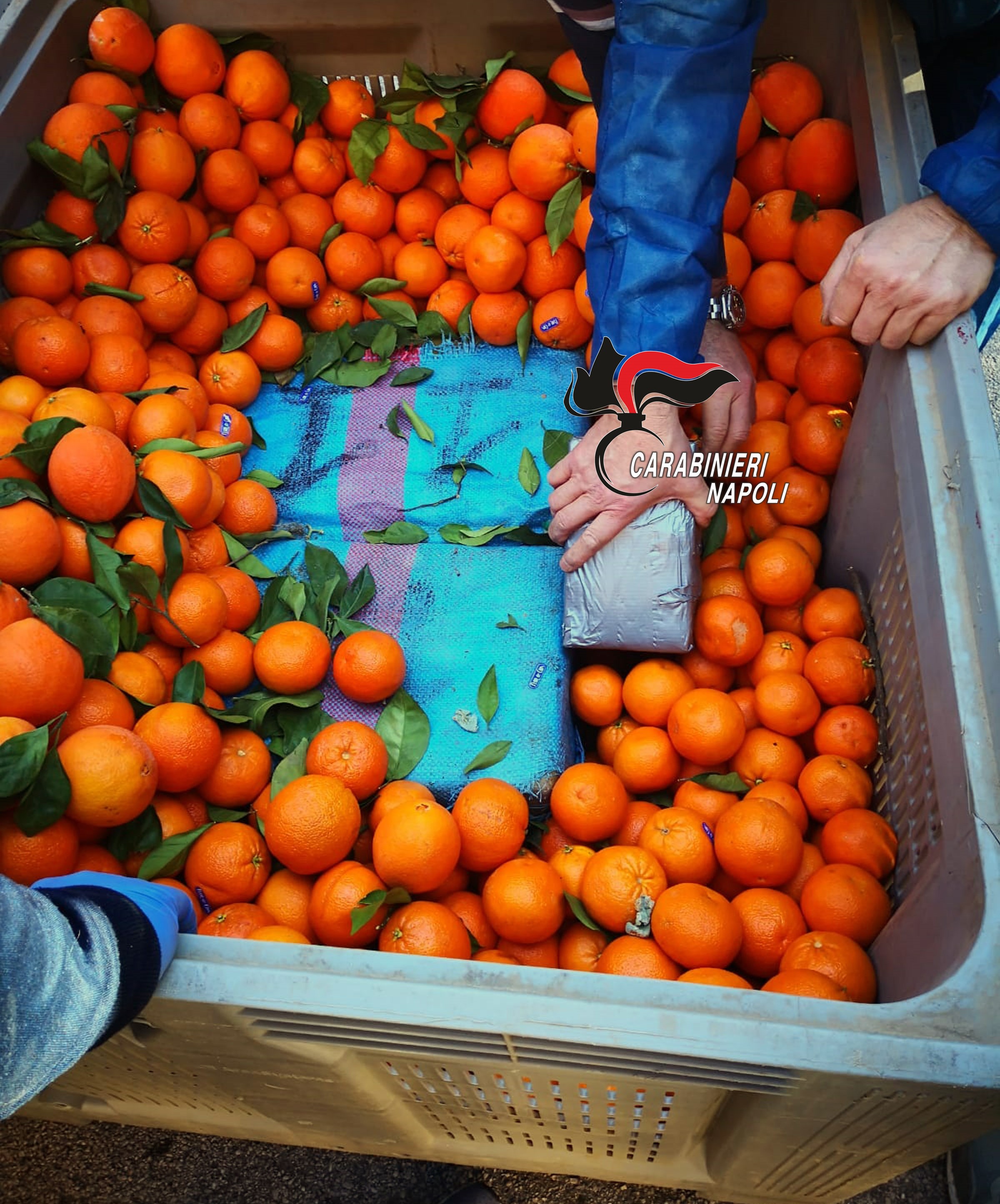 POZZUOLI/ Trasportavano una tonnellata di hashish tra arance e cipolle, arrestati|I NOMI