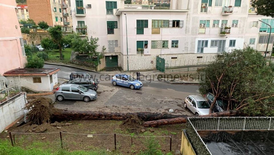 Tragedia sfiorata a Soccavo, il maltempo abbatte due enormi pini