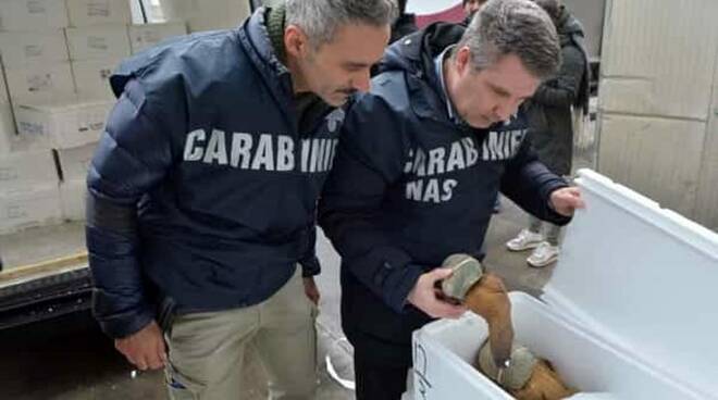 POZZUOLI/ Nas sequestrano carne e prodotti ittici in un ristorante del centro storico