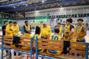 Flavio Basket - panchina